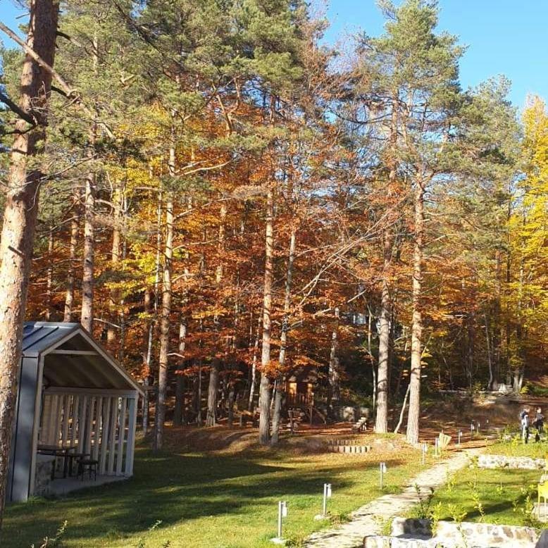 Apartman Divcigora Sokic Divčibare Extérieur photo